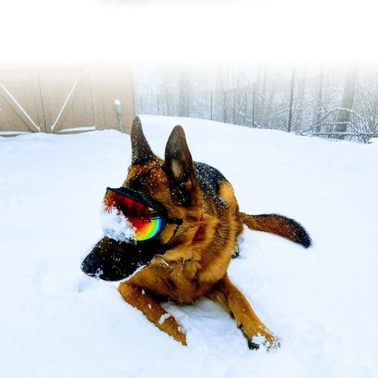 Doggles - Pets XL Black Pets XL