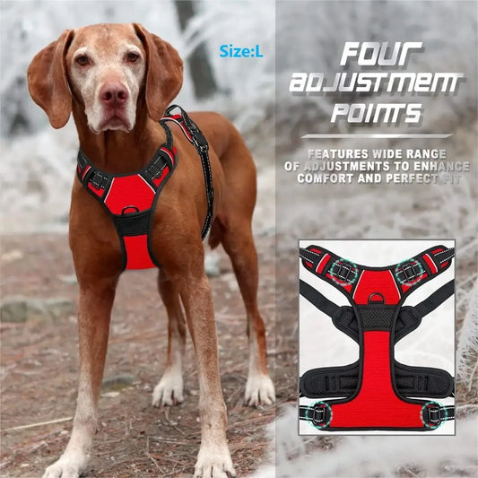 Your Best Friend's Harness - Pets XL Black / S Pets XL