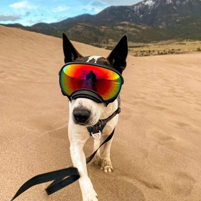 Doggles - Pets XL Black Pets XL