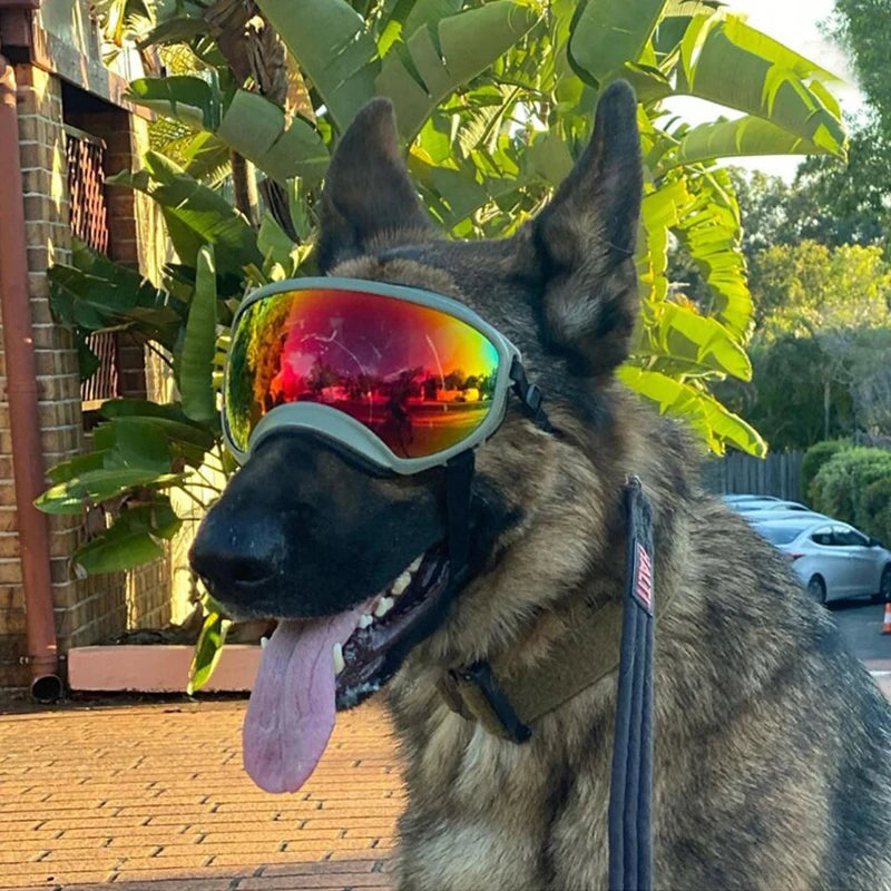 Doggles - Pets XL Black Pets XL