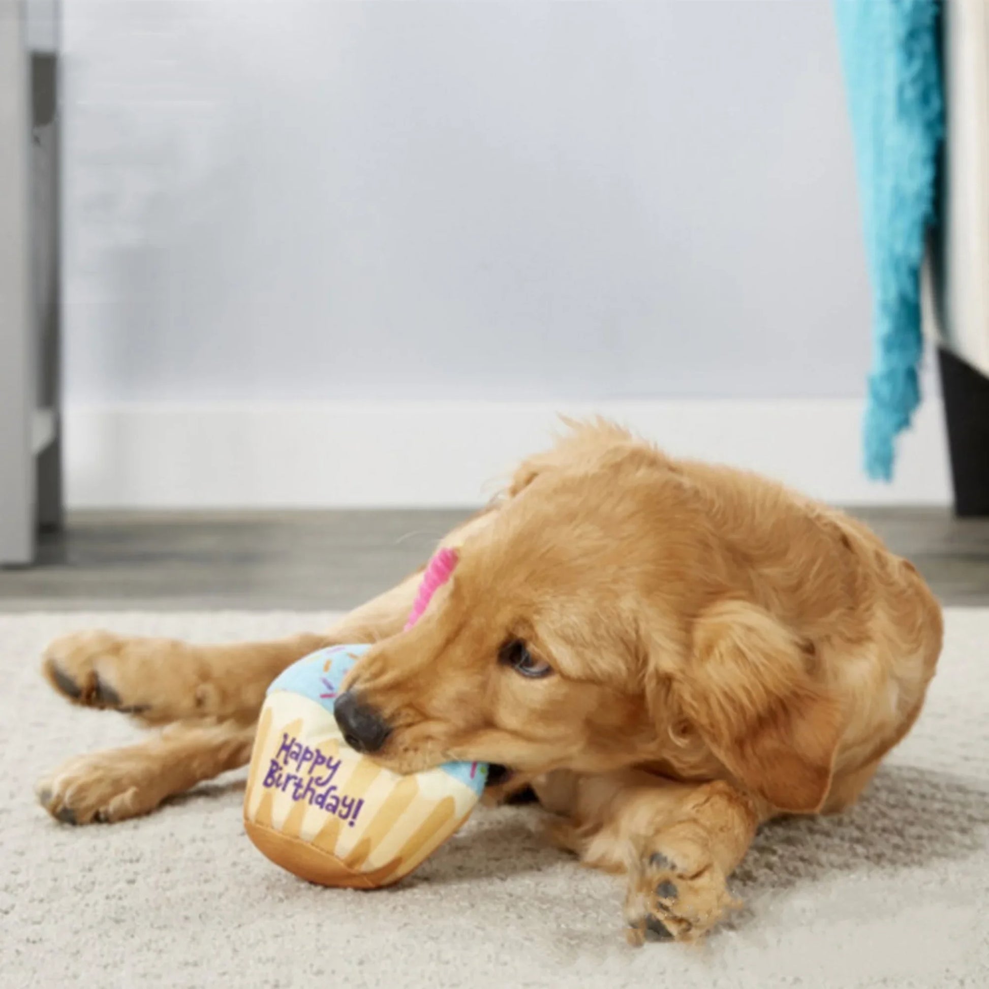 Fur-Ever Birthday - Pets XL Gift cake Pets XL