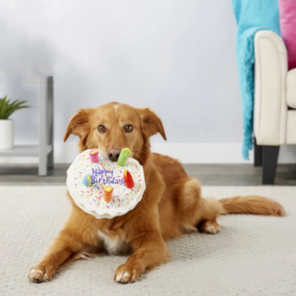 Fur-Ever Birthday - Pets XL Gift cake Pets XL